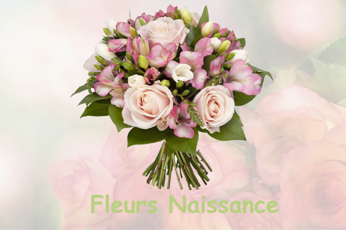 fleurs naissance LONGPRE-LES-CORPS-SAINTS